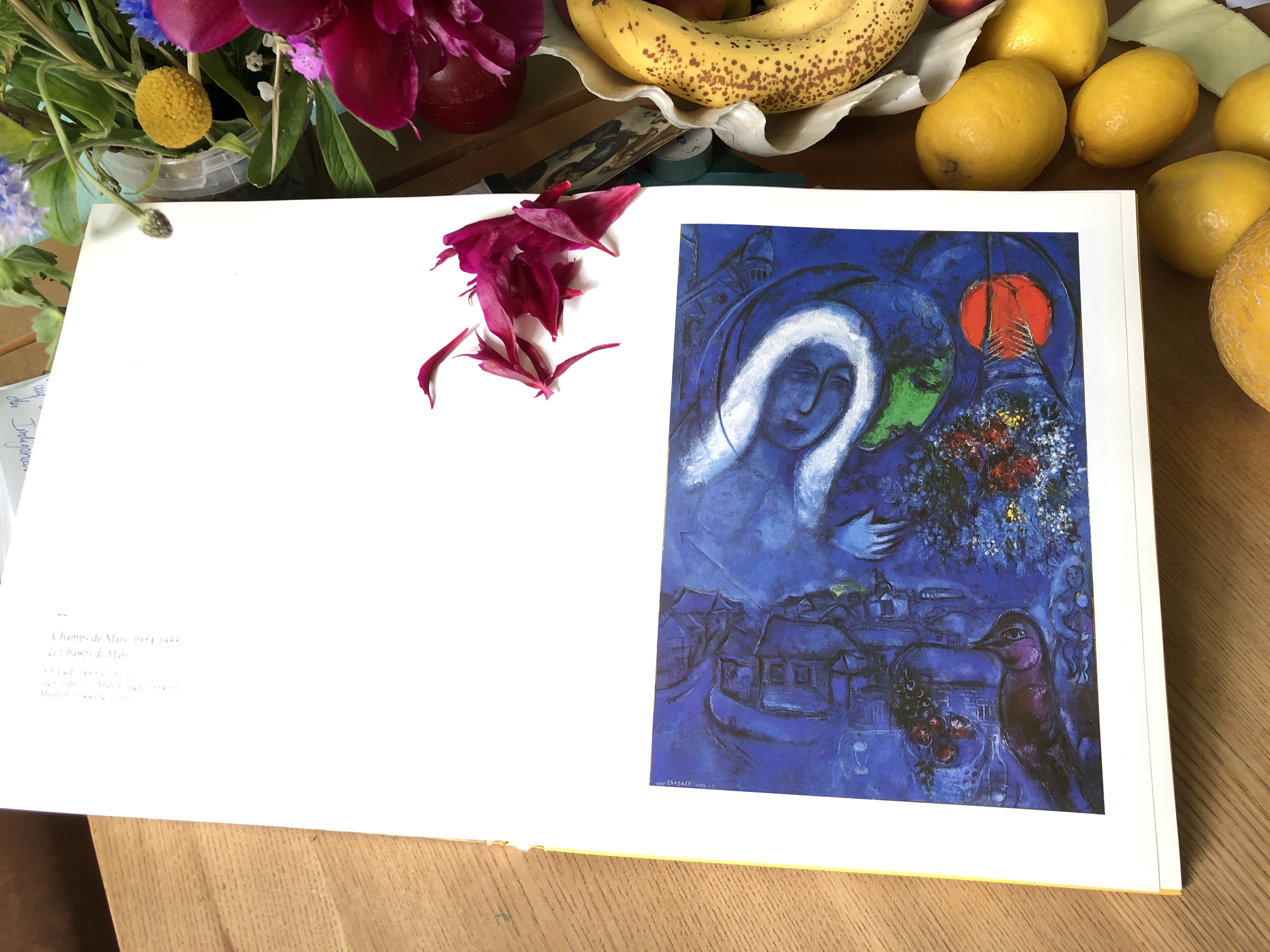 8155AE64-FC85-4792-B6F7-081C68AF3F0B