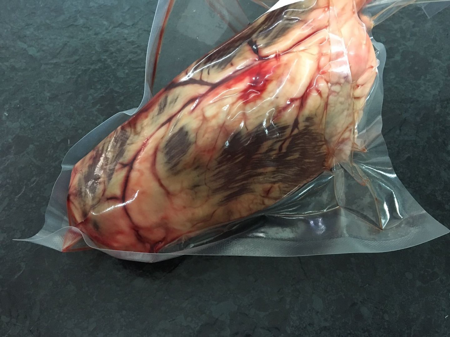 d4951c43-1fed-4658-94e0-e4f1eb580911